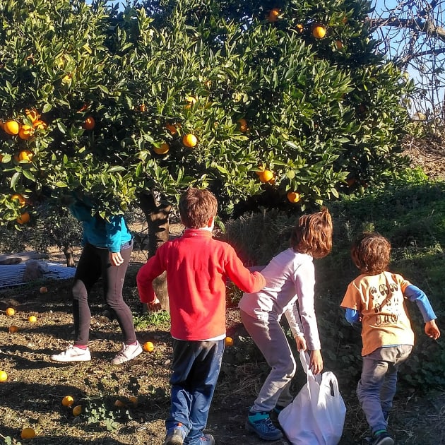 Actividades de invierno para niños - Twinkl