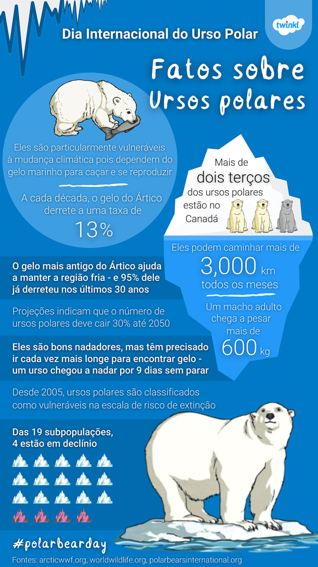 A Ursa Polar': Confira 5 curiosidades sobre os ursos polares antes