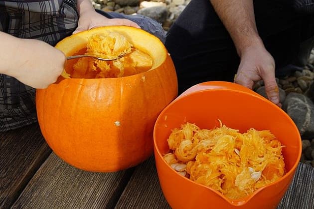 How To: Grow Pumpkins For Your Jack-o-Lantern | Halloween Activity ...