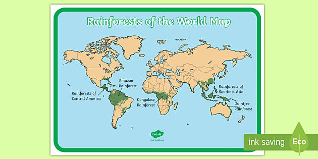 Twinkl Topic Homework Help Rainforests