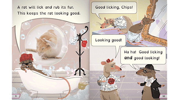 Rhino Readers Decoders: Fully Decodable Books for KS2