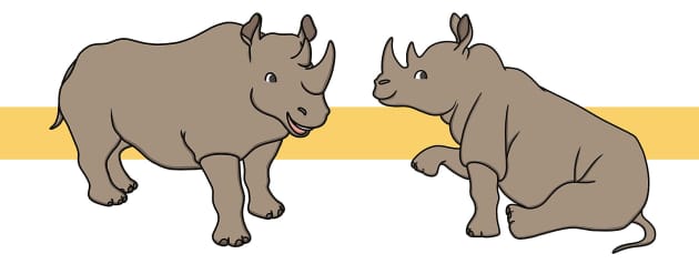 Rhino Facts for Kids - Twinkl Homework Help - Twinkl