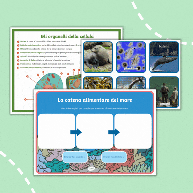 Primary Resources EYLF F 2 Year 3 10 Twinkl Teacher made Primary resources eylf f 2 year 3 10 twinkl teacher made