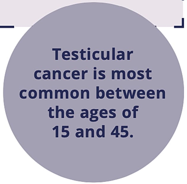 How to Self Examine for Testicular Cancer Fact Sheets RSE
