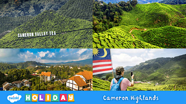 Cameron Highlands Travel Place