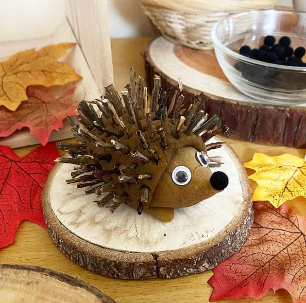 Hedgehog Activities and Ideas for Early Years - Twinkl