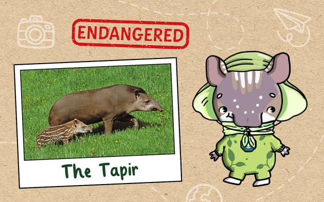 Here’s Why Your Children Need to Know About Endangered Species