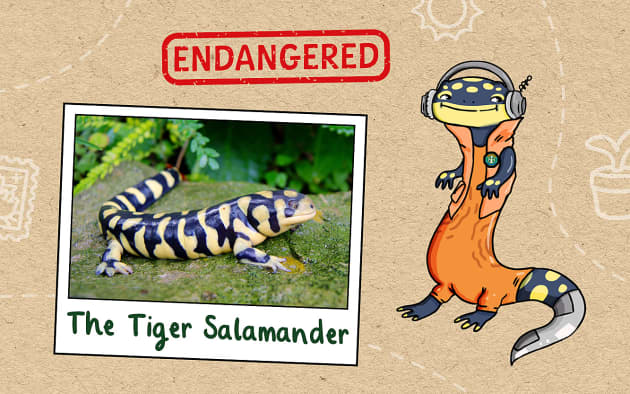 Here’s Why Your Children Need to Know About Endangered Species
