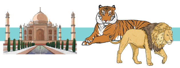 Top 10 Facts For Kids About India Twinkl Homework Help