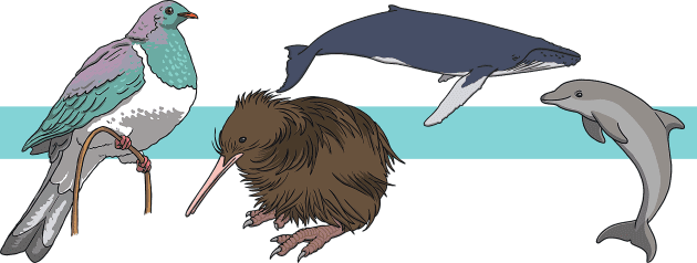 what-animals-are-native-to-new-zealand-twinkl-homework-help