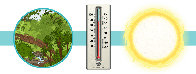 what-is-the-weather-like-in-brazil-twinkl-homework-help