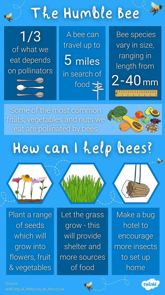 why-are-bees-important-reasons-to-save-the-bees