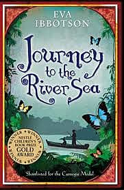 Journey To River Sea Book Teaching Resources Story Cards Mat