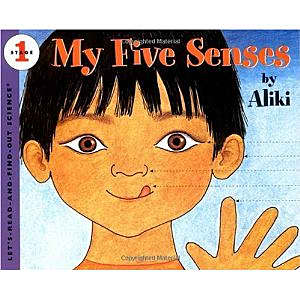 My Five Senses - book, teaching resources, story, cards, mat, sequencing,