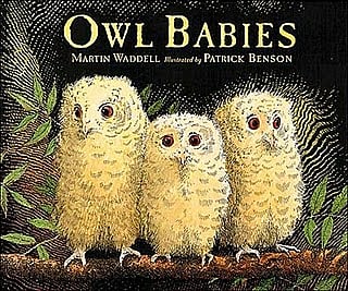 Owl babies story online 2025
