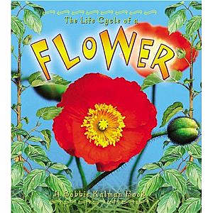 The Life Cycle of a Flower - book, teaching resources, story, cards, mat,