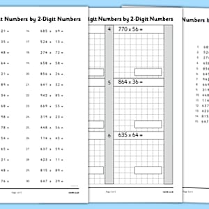 Multiplying 3 Digit Numbers by 2 Digit Numbers Worksheet / Worksheet