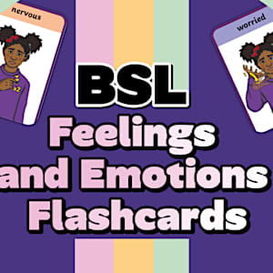 British Sign Language BSL Feelings and Emotions Flashcards
