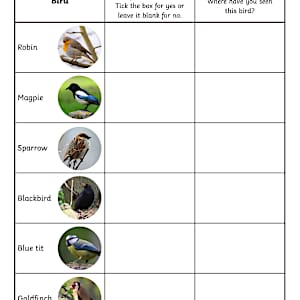 Bird Identification Worksheets | Identify Garden Birds