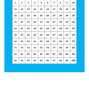 Printable 100 Square Grid - Primary Resources