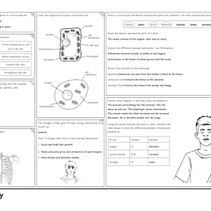 KS3 Science Revision Mats | KS3 Science | Beyond