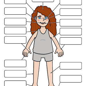 Human Body Parts Activity - Anatomy Labelling Worksheets