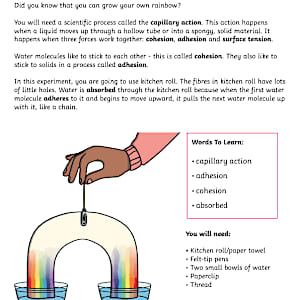 How to Grow a Rainbow Experiment | Rainbow Science