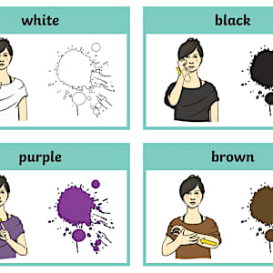 BSL Colours Flashcards for Learning