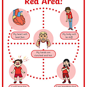 Areas of Regulation Posters | Twinkl Educational Resources