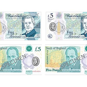 Realistic Size Play Banknotes