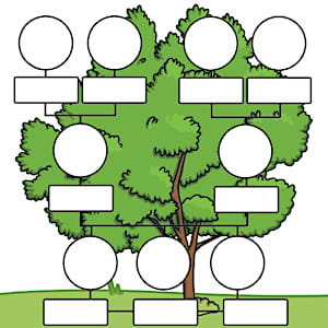 Family Tree Template for Kids | Primary Resources