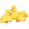 spring animals