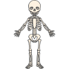 ratio and proportion