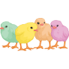 baby animals