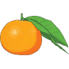 mandarin