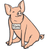 name tags