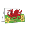 st davids day