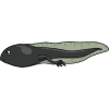 animals including humans