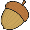 little acorns
