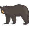 FREE! - We're Going on a Bear Hunt Story Sack Resource Pack