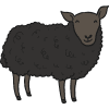 baa baa black sheep