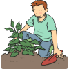 gardening