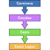 classification