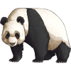 endangered animals