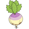 the enormous turnip