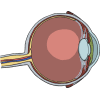 Human Eye Information – Learning and Teaching Resource