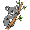 why the koala has a stumpy tail