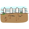 mud