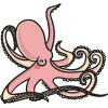 octopus