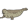 seal
